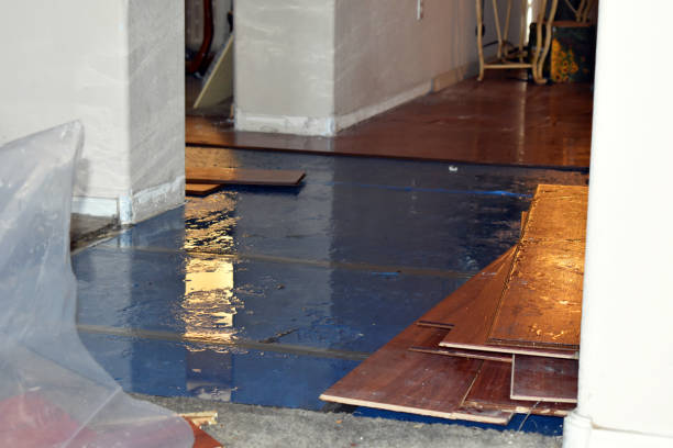 Professional Emergency Water Damage Restoration technician working in Williamstown, WV